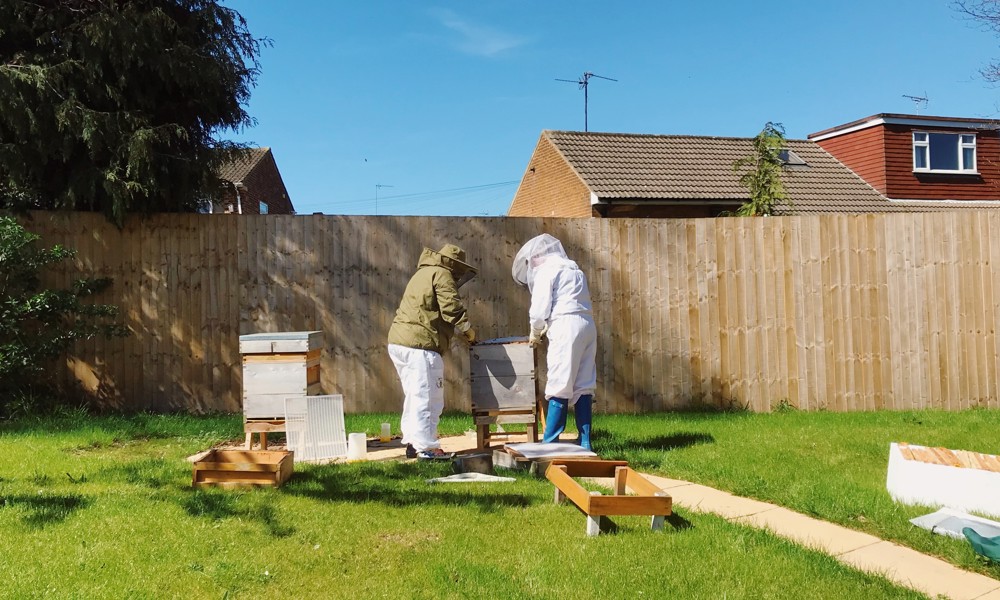 Beekeeping