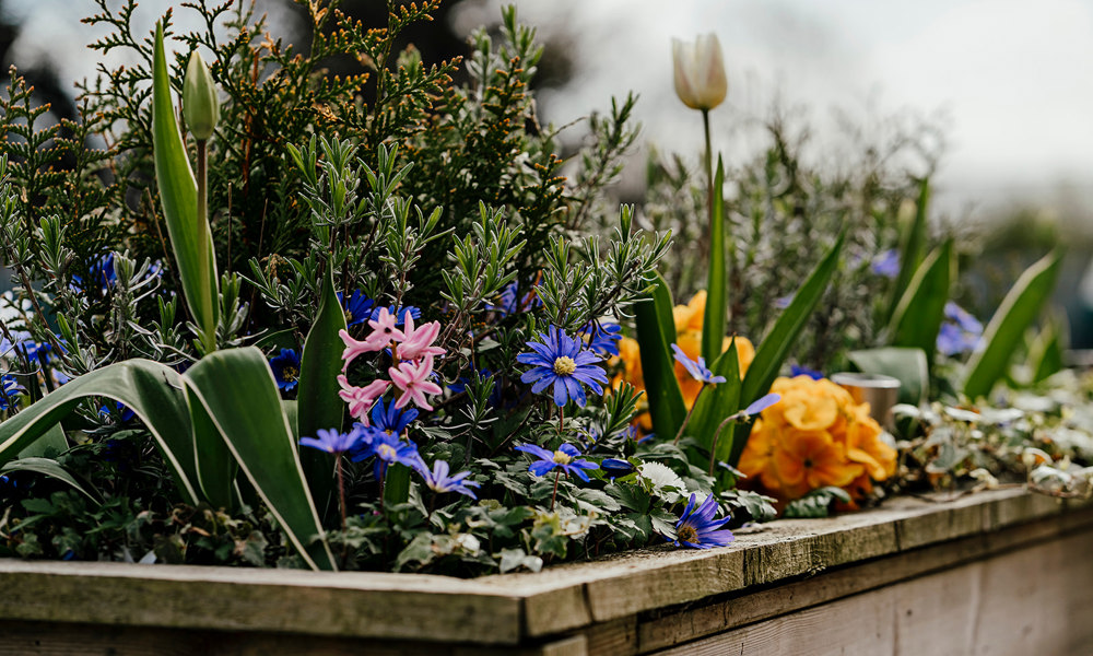 HN Thecuttings 140422 3